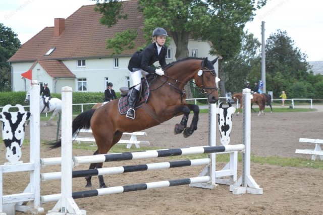 reitertag 2013 73